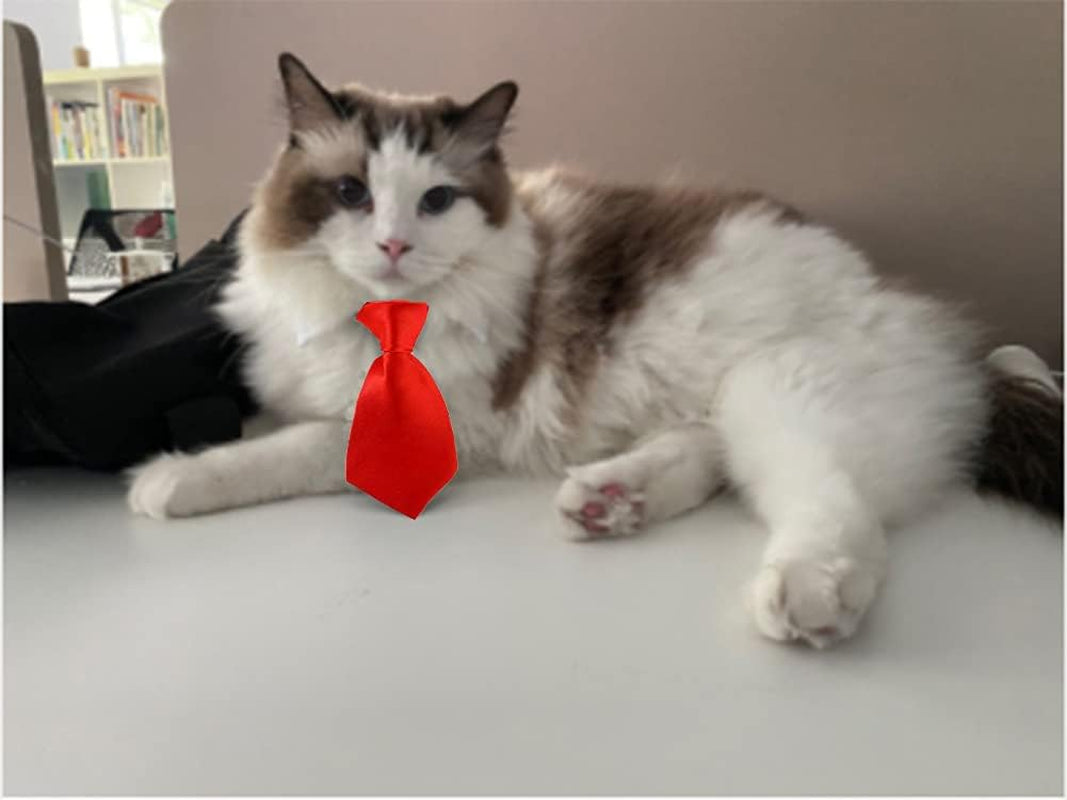 4 Pieces Pets Dog Cat Bowtie Pet Costume Adjustable Formal Necktie Collar for Cats Small Dogs Puppy Grooming Accessories (Black/Red)