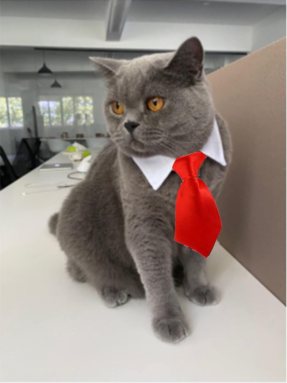 4 Pieces Pets Dog Cat Bowtie Pet Costume Adjustable Formal Necktie Collar for Cats Small Dogs Puppy Grooming Accessories (Black/Red)